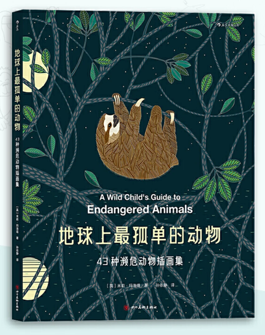 哪里可以找到适合篮球运动员的放松方法?_0